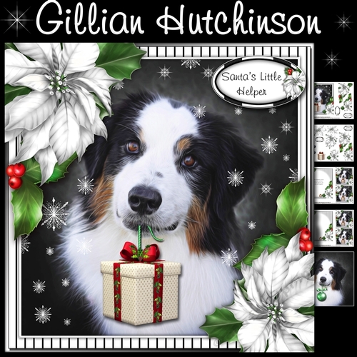 The Christmas Gift