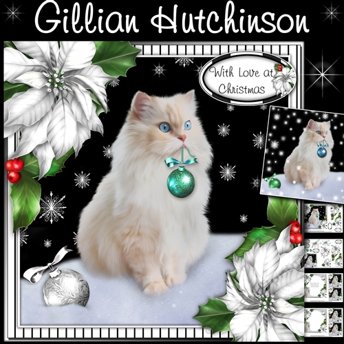 The Christmas Cat