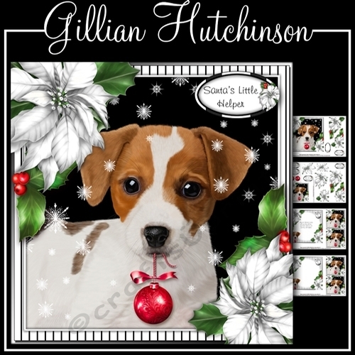 The Christmas Jack Russell