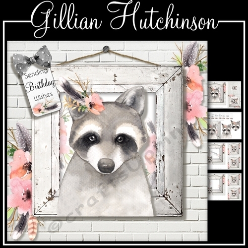 The Little Raccoon