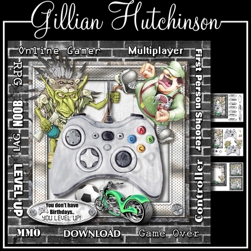 The Online Gamer
