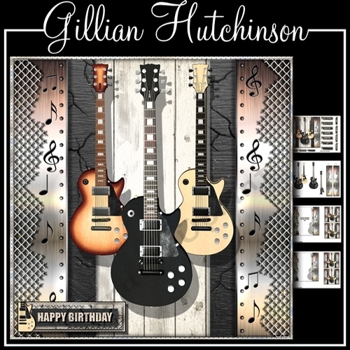 The Guitars
