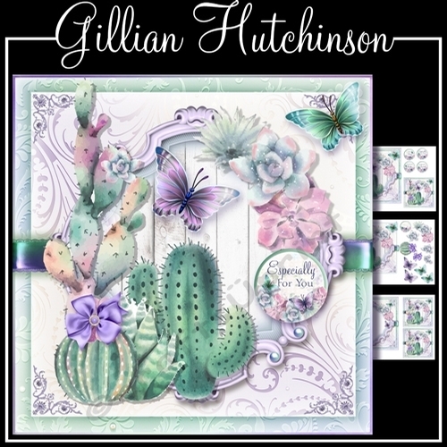 The Cactus and Butterflies