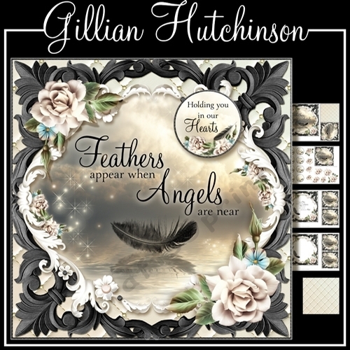 Feathers Appear when Angels are Near