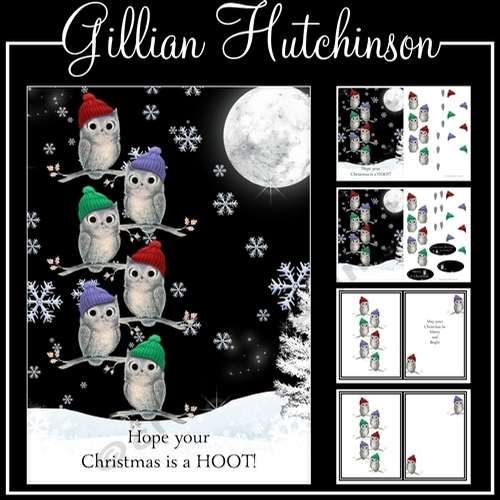 Hope Your Christmas is a Hoot