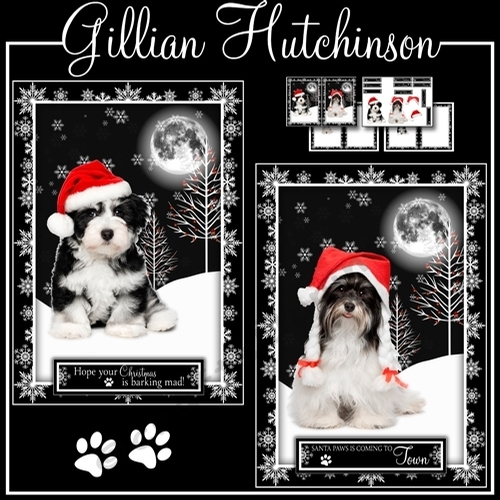 Santa Paws is Coming to Town