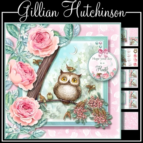 The Little Forest Owl