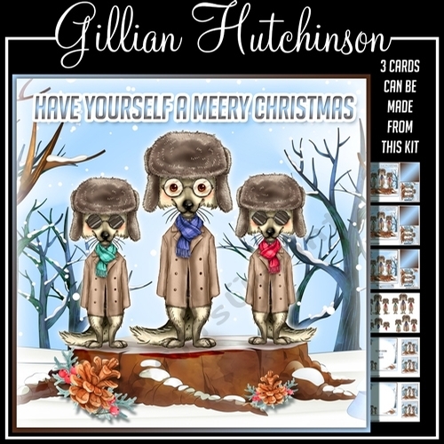 Tis the Season to be Meery!