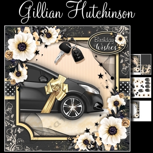 The Car is the Star