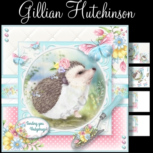  Bottom of the Garden - Hedgehog