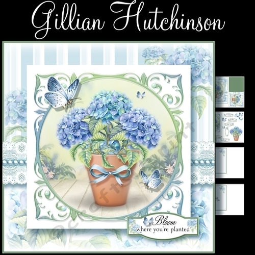 The Cottage Garden Flower Pot