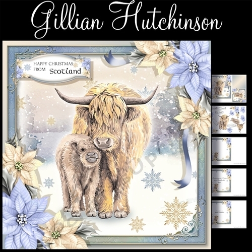 The Christmas Highland Cows