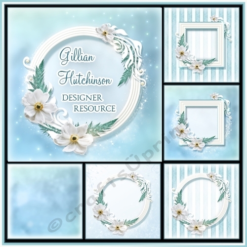 DESIGNER RESOURCE FERN KIT