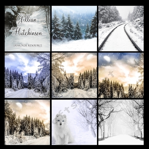 DESIGNER RESOURCE WINTER BACKGROUNDS