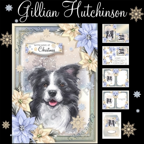 The Christmas Border Collie