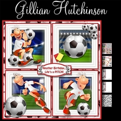 Another Birthday...Lifes a PITCH!