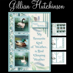 The Bird Watcher