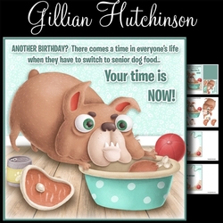 Senior Dog Food
