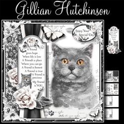 The British Shorthair Cat