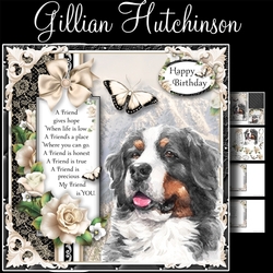 Bernese Mountain Dog