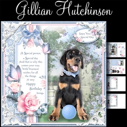 The Doberman Puppy (Boy)
