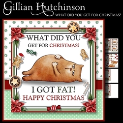 What Did You Get For Christmas