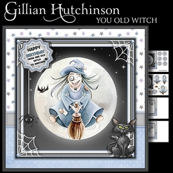 You Old Witch