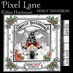 Holly Davidson