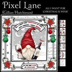 All I Want For Christmas is WINE!
