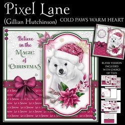 Cold Paws Warm Heart