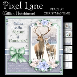 Peace at Christmas Time