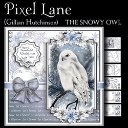 The Snowy Owl