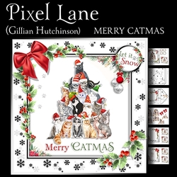 Merry Catmas!