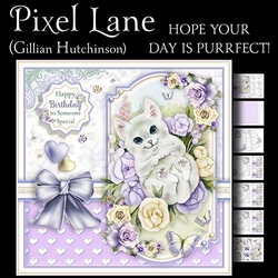 Hope Your Day is Purrfect!