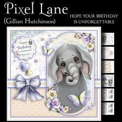 Hope Your Birthday is Unforgettable
