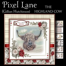 The Highland Cow