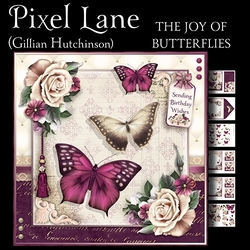 The Joy of Butterflies
