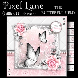The Butterfield Field