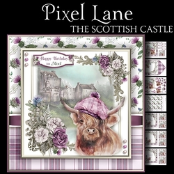 The Scottish Castle
