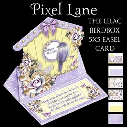 The Lilac Birdbox