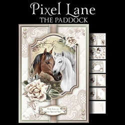 The Paddock