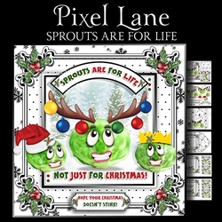 Sprouts are for Life Not Just for Christmas