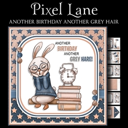 Another Birthday Another Grey Hair