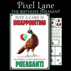 The Birthday Pheasant