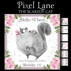 The Scaredy Cat