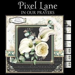In Our Prayers