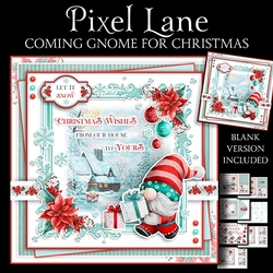 Coming Gnome For Christmas