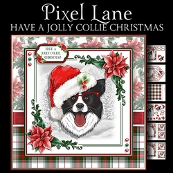 Have a Jolly Collie Christmas