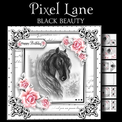 Black Beauty