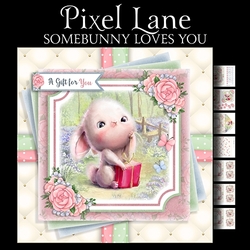 Somebunny Loves You!